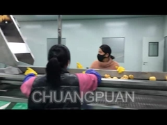 Πώς παράγεται ο χυμός φρούτων στο εργοστάσιο;Ας δούμε πώς λειτουργεί η γραμμή επεξεργασίας χυμού αχλαδιού