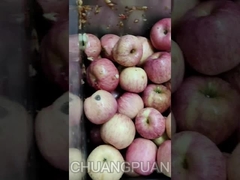 Ξέρετε χυμό HPP; Ας δούμε πώς λειτουργεί η γραμμή παραγωγής χυμού μήλου