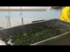 Πώς να επεξεργαστεί το HPP ή το παγωμένο πάλπο αβοκάντο;