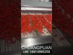 Ξέρετε πώς παράγεται ο χυμός του θαλασσινού σκαντζόχοιρου; Ας δούμε μαζί