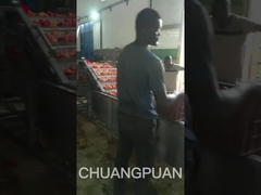 Ας πάμε να δούμε μια γραμμή παραγωγής μεσαίου τύπου ζύμης ντομάτας στην Αφρική να δουλεύει.